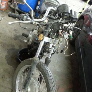 need to order new headlight and rebuild forks
