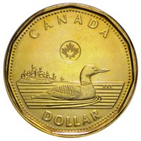 Canadian 1 dollar.jpg